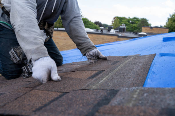 Best Metal Roofing Contractor  in Toledo, IA