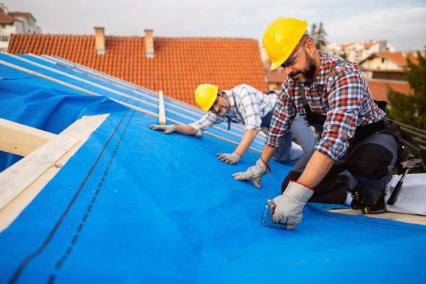 Best Flat Roof Repair Services  in Toledo, IA