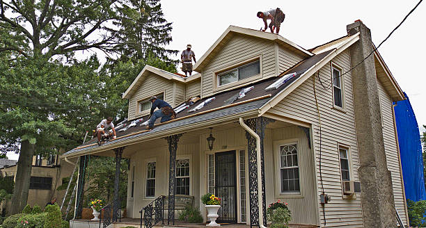 Best Slate Roofing Contractor  in Toledo, IA