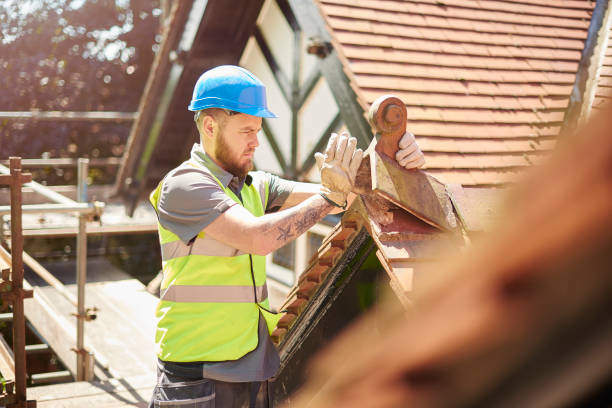 Best Roof Gutter Cleaning  in Toledo, IA