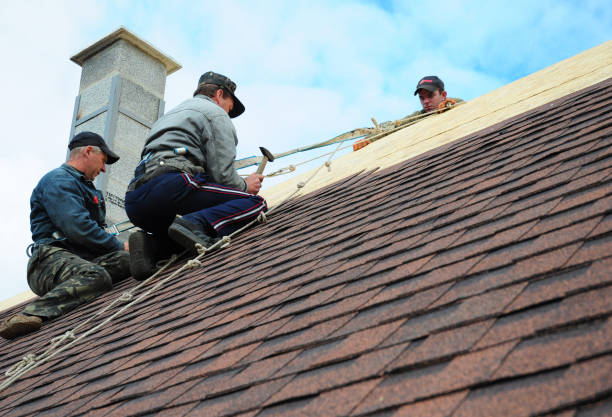 Best Residential Roof Replacement  in Toledo, IA
