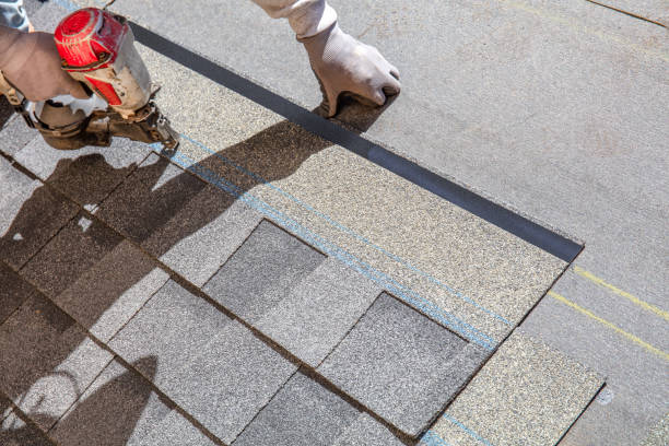 Best Roof Maintenance Services  in Toledo, IA